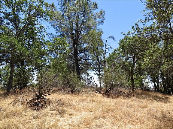5th image of 0 Ramblin Rd
