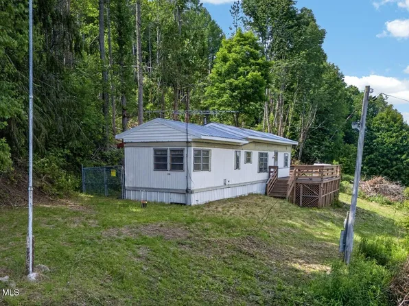 118 Lookout Drive, CHARLOTTEVILLE, NY 12175