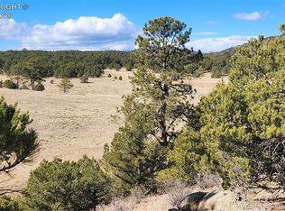 311 Kit Carson Trl, Cotopaxi, CO