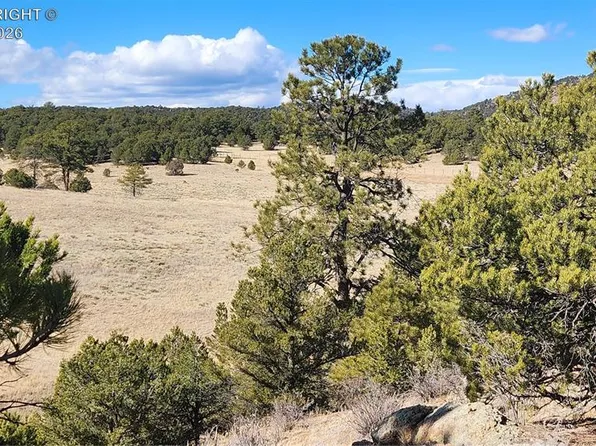 311 Kit Carson Trl, Cotopaxi, CO 81223