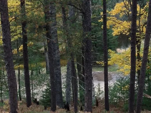 Dowsett Trl, Atlanta, MI 49709