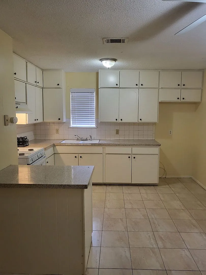 1551 Pamela Ln. Fort Worth, TX 76112 — Photo 3
