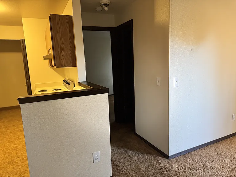 4501 Boardwalk Dr #D-D-32 — Photo 9
