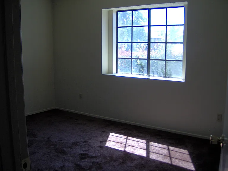 209 Deborah Ct — Photo 8