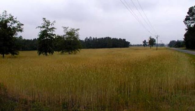 2nd image of TBD Horace Walters Road LOT 1-11