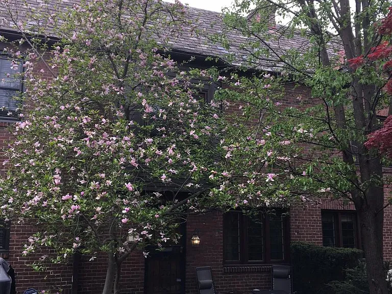 555 S Negley Ave #13 — Photo 1