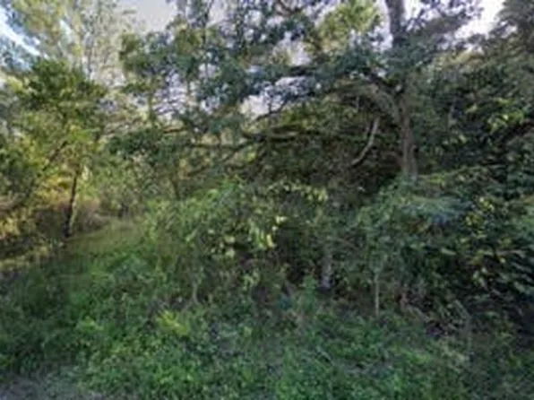 0 Tamer Ln, Dade City, FL 33523