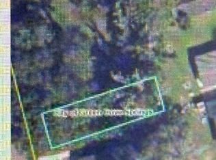 314 Palm St, Green Cove Springs, FL 32043