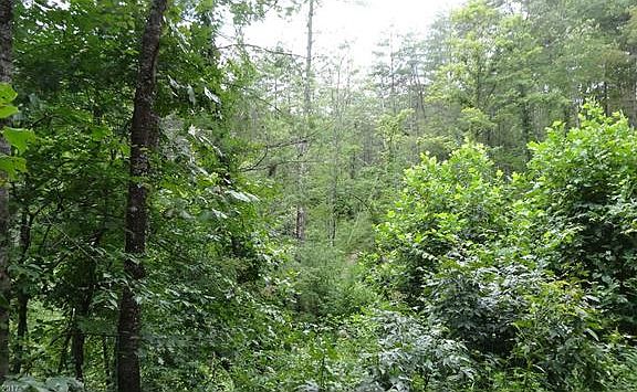 4th image of 000 Ambrose Rd