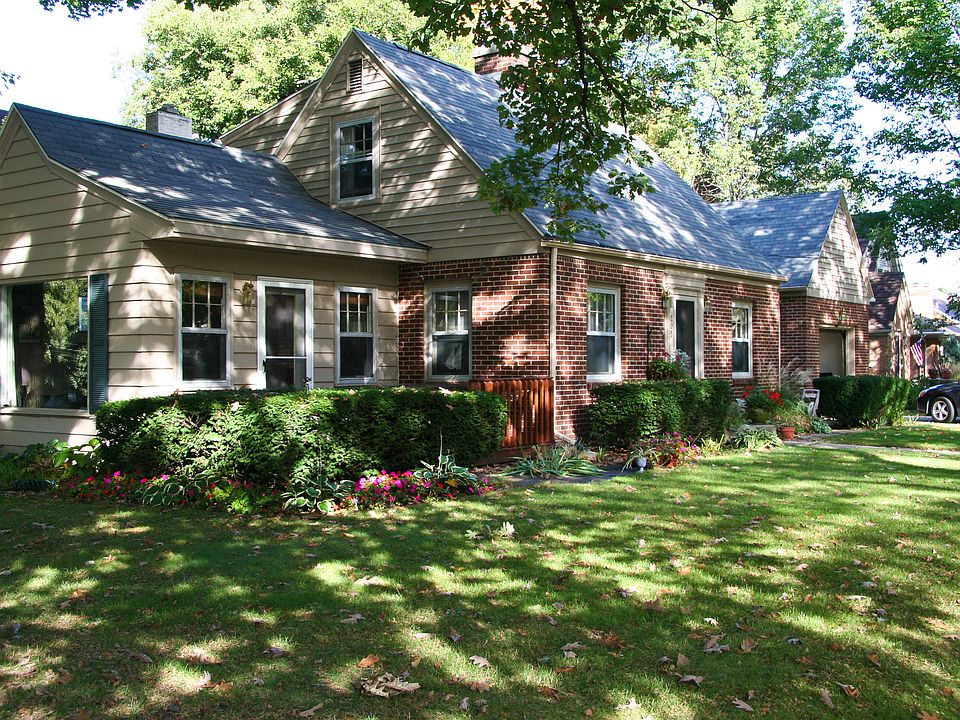 Beautiful shade trees