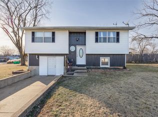 103 S Cantwell Ln, Desloge, MO 63601