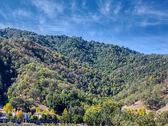 Close to the Gilroy foothills