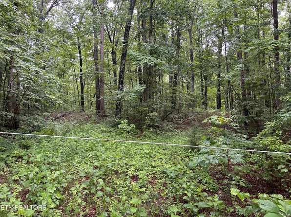 Panther Branch Rd, Jamestown, TN 38556