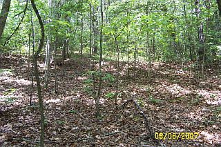 1st image of 0 Morningwell Dr