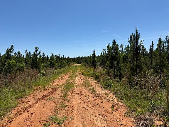 5th image of 0 County Road 222