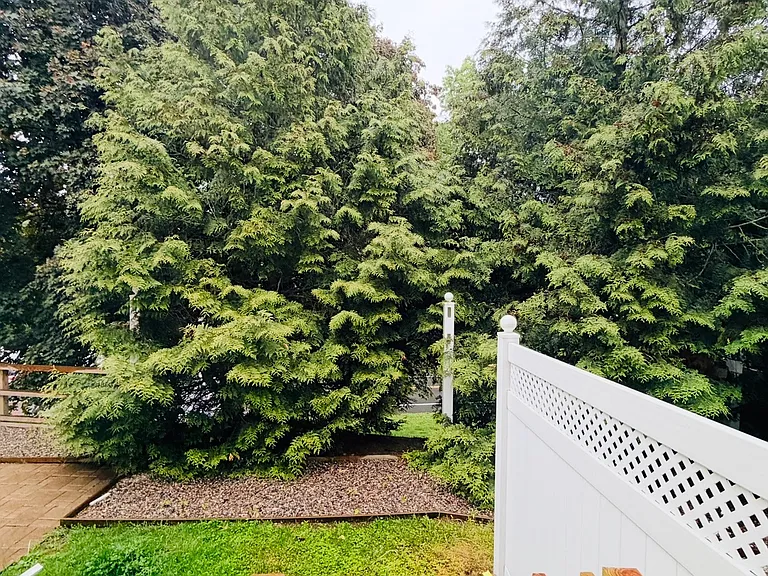 16 Wishing Well Ln — Photo 3
