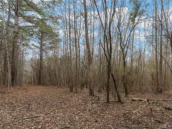 4th image of 17 Stormi Way