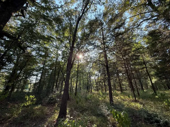 County Road 2798, Mineola, TX 75773