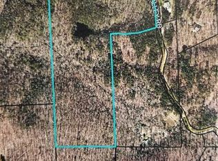 0 Fern Valley Rd LOT 0, Ellijay, GA 30536