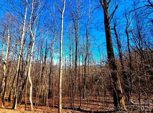 160 Slippery Rock Rd #206, Waynesville, NC 28785