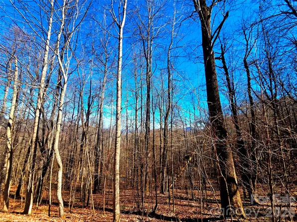 160 Slippery Rock Rd #206, Waynesville, NC 28785