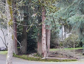 1st image of 1819 5th St SE