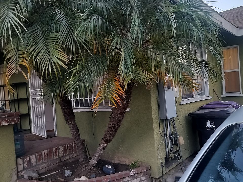 1st image of 1005 E Hill St