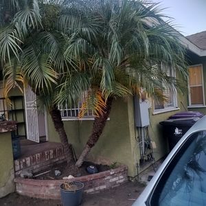 1005 E Hill St, Long Beach, CA, 90806