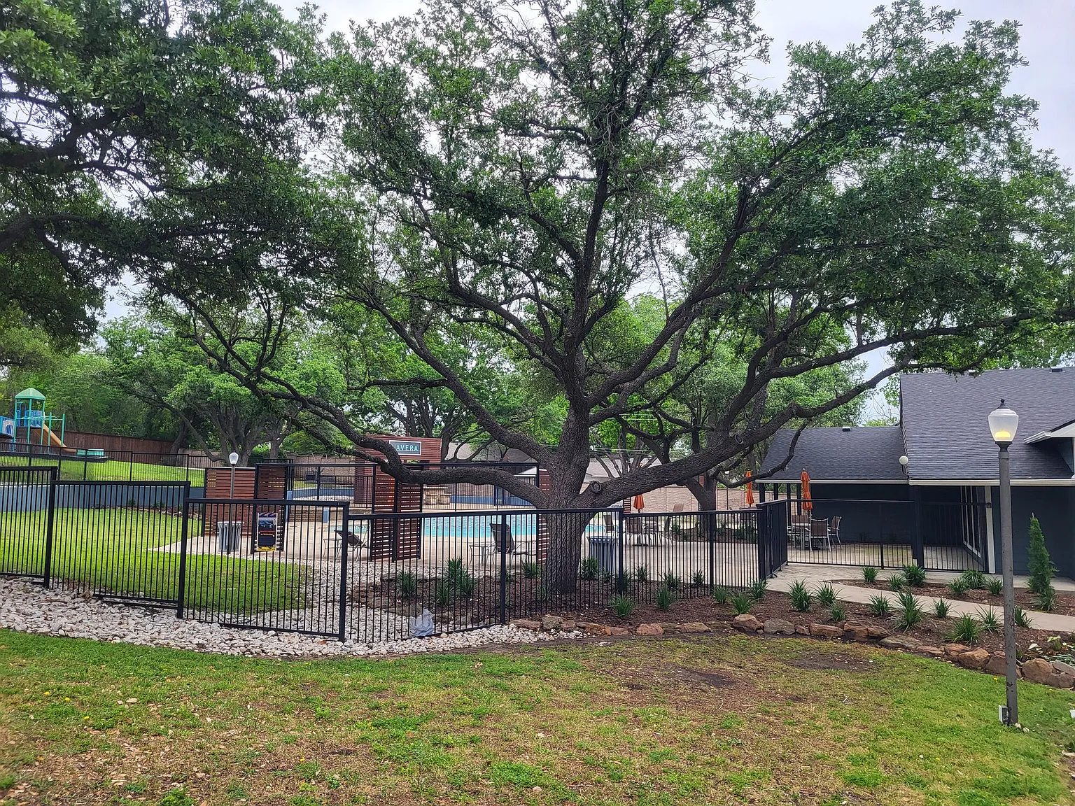 Lavera at Lake Highlands — Photo 4