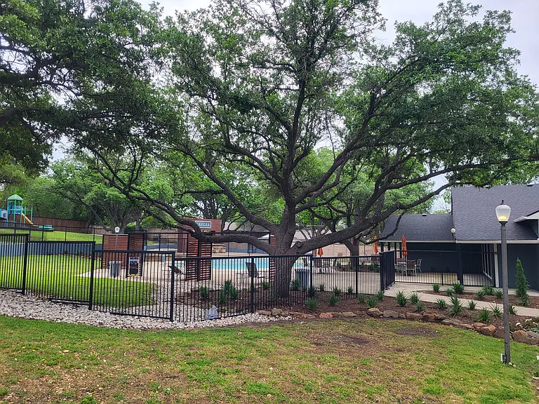 Lavera at Lake Highlands — Photo 4
