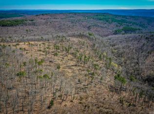 614 Henderson Rd, Clinton, AR 72031