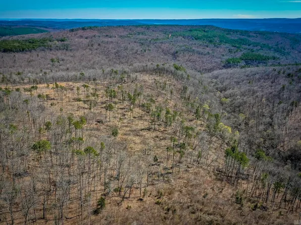 614 Henderson Rd, Clinton, AR 72031