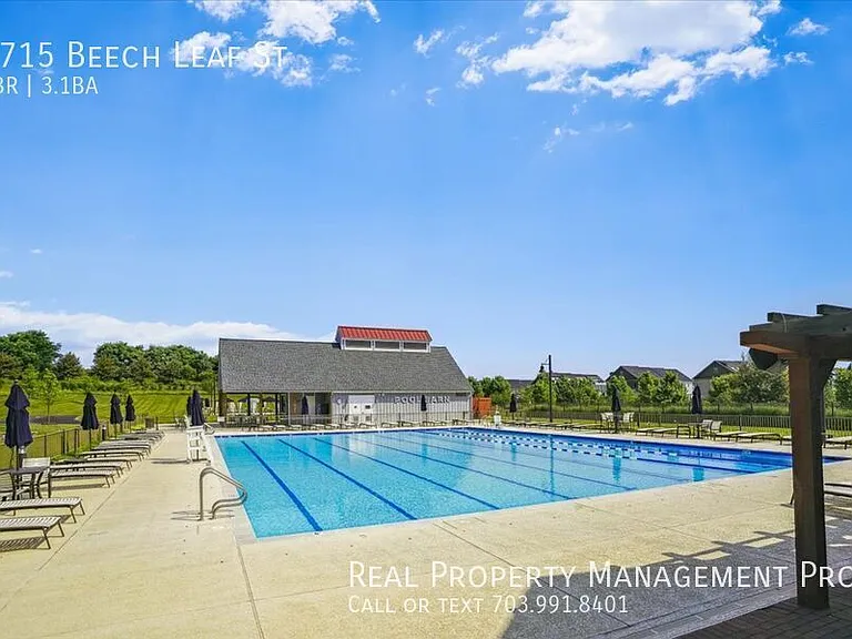 1715 Beech Leaf St — Photo 62