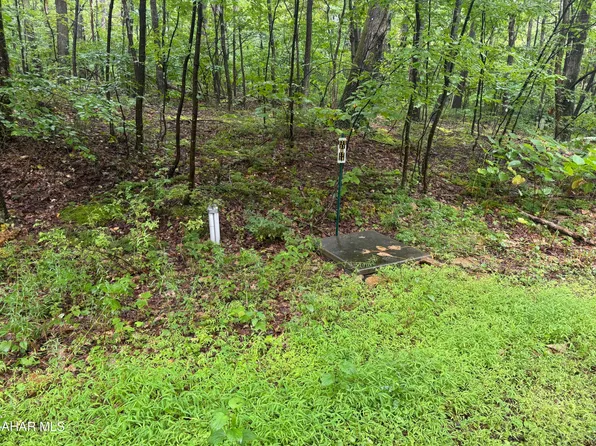 145 Oak Hill Ln, Claysburg, PA 16625