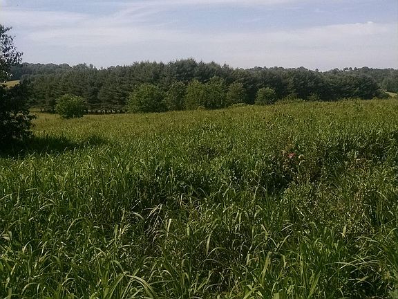 5th image of 0 Old Niles Ferry Rd Lot 33R2