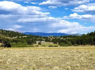 217 Wrights Ln, Guffey, CO 80820