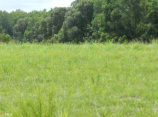 0 Rocky Creek Rd, Hampton, GA 30228