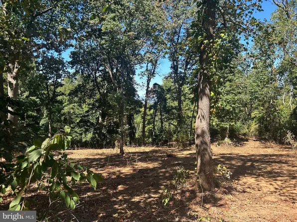 Blue Ridge Mtn, Paris, VA 20130