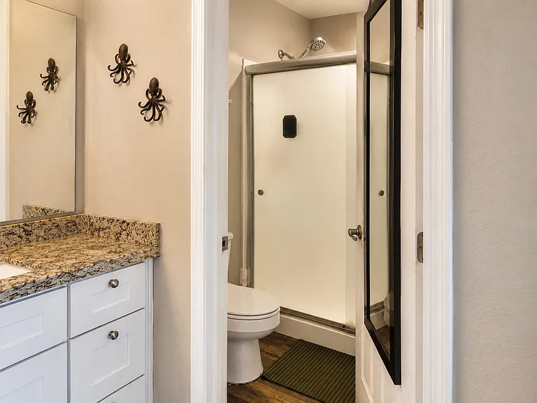 Primary Bathroom toilet and shower
