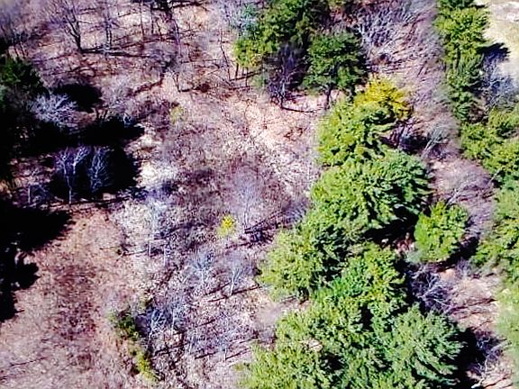 3rd image of 67 Browns Path