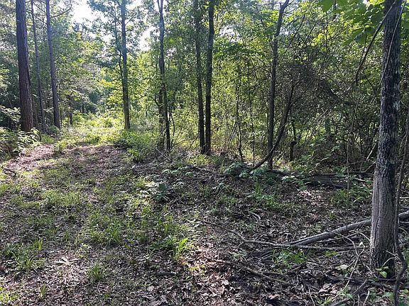 2nd image of 1075 Lee Island Rd