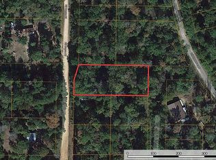 Bill Monroe Rd, Livingston, TX 77351