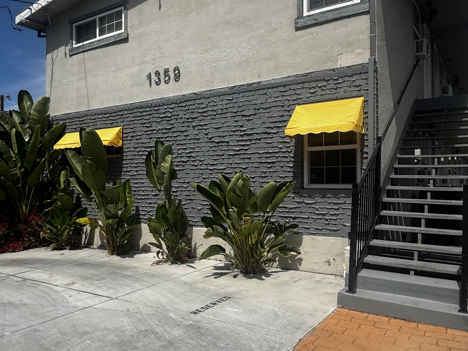 Lewis - 6 — Photo 2