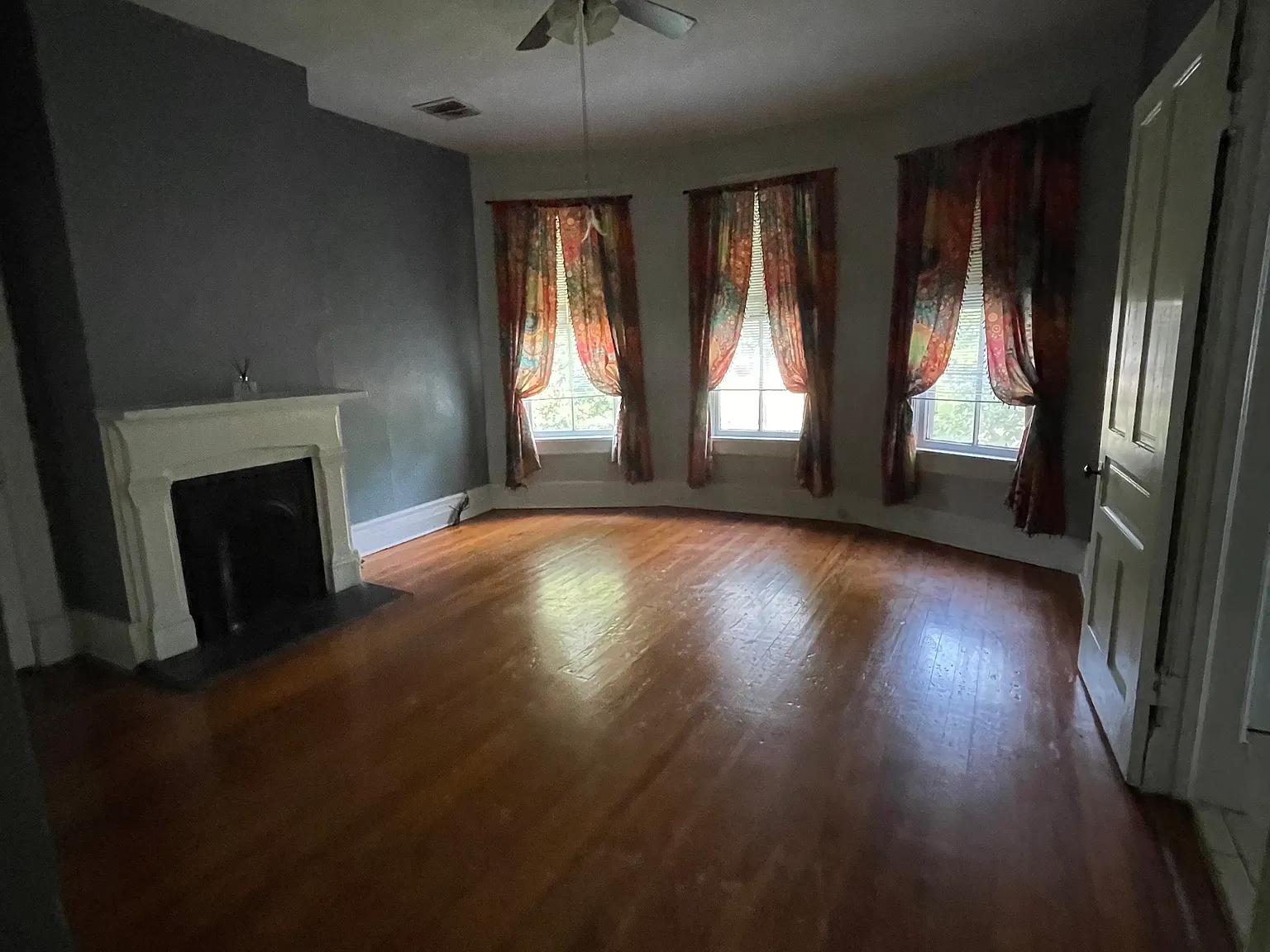 1 bed, $800 — Photo 3
