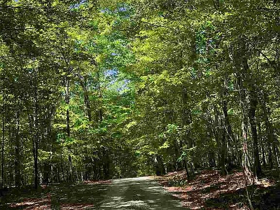 2nd image of Piney Creek Ln