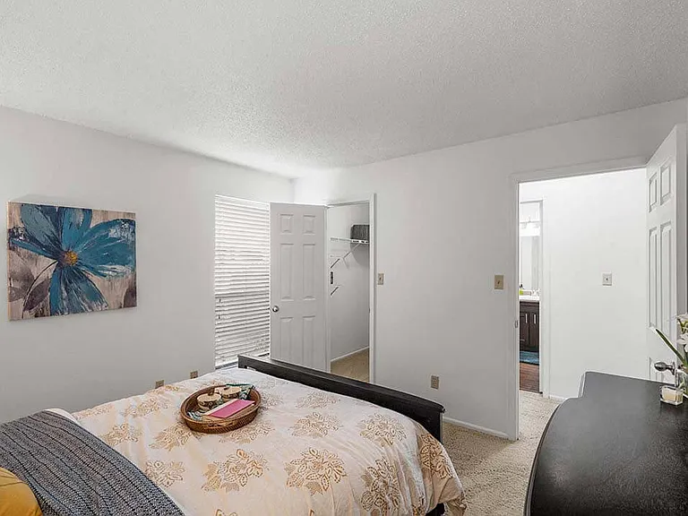 Bright and Spacious Bedroom