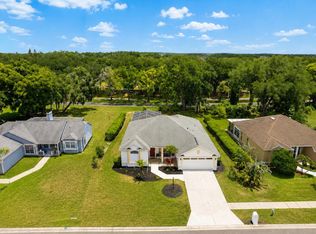 3406 Silverstone Ct, Plant City, FL 33566