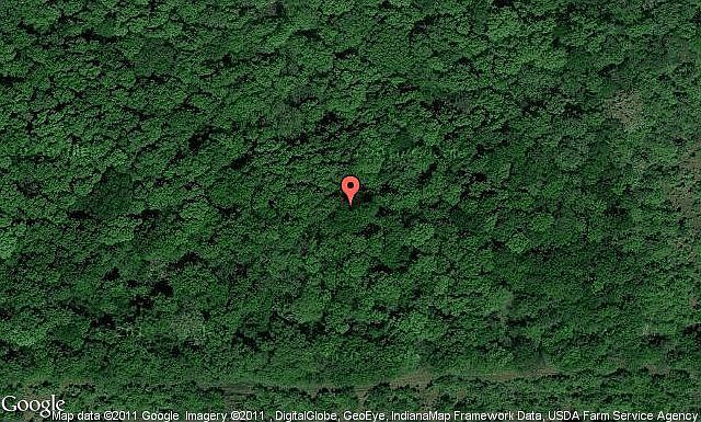 Map View