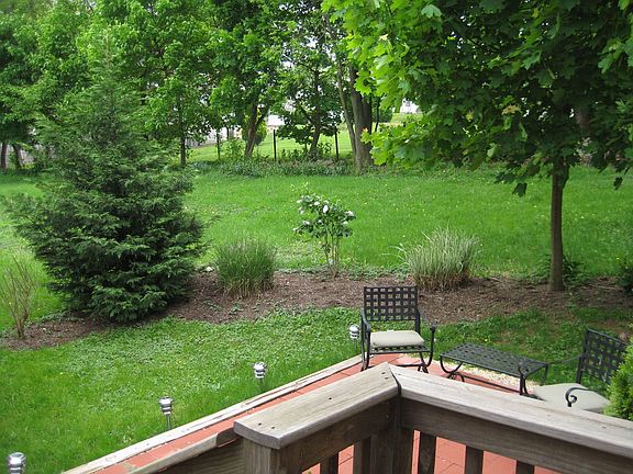 Patio and Yard