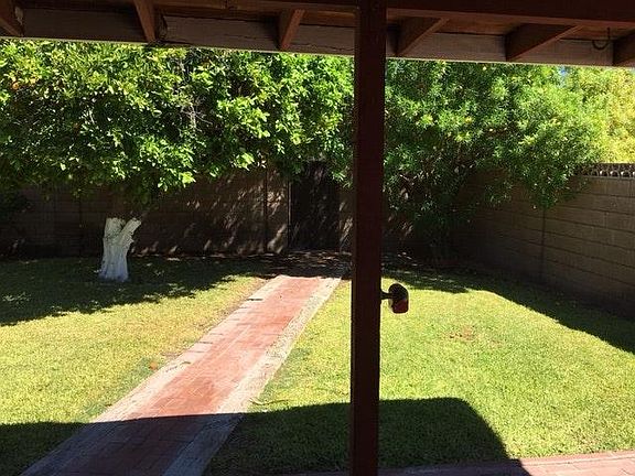 Backyard 2